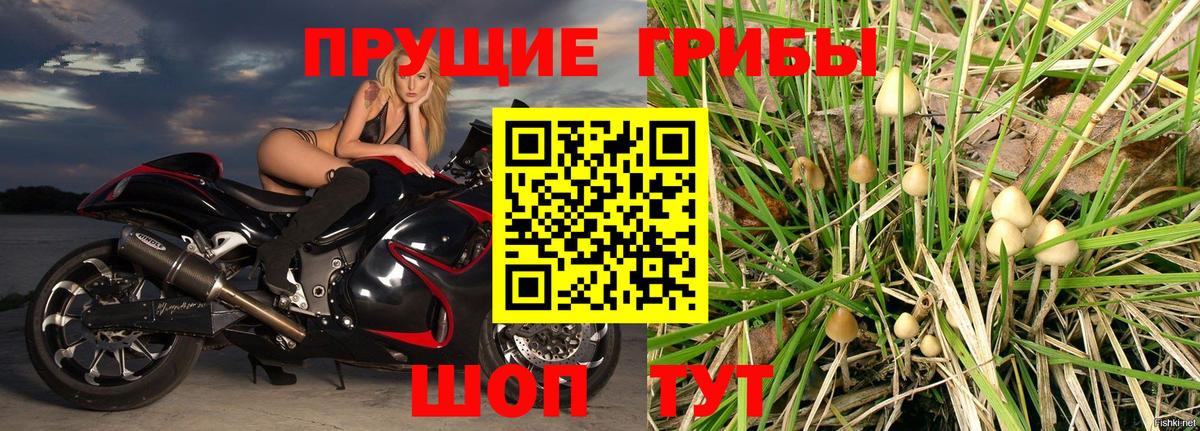 Галлюциногенные грибы Cubensis  Вход с VPN  Новосибирск  Галлюциногенные грибы MAGIC MUSHROOMS 